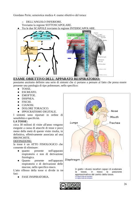 APPUNTI DI SEMEIOTICA - Istituto Comprensivo "G. Palatucci"