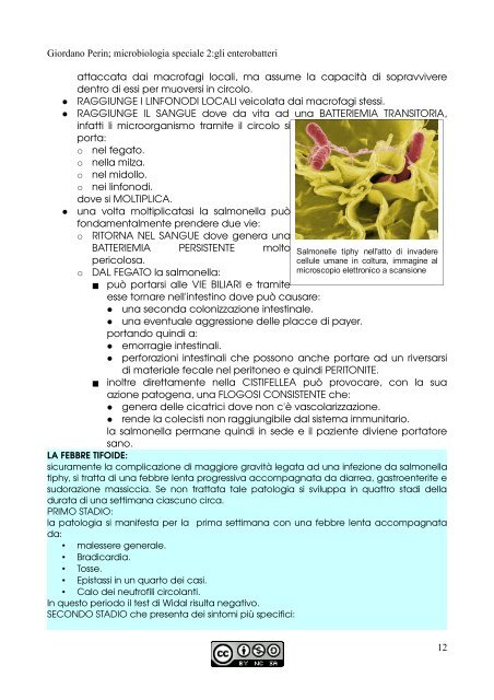 APPUNTI DI MICROBIOLOGIA - Istituto Comprensivo "G. Palatucci"