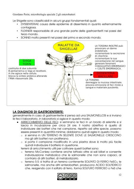 APPUNTI DI MICROBIOLOGIA - Istituto Comprensivo "G. Palatucci"