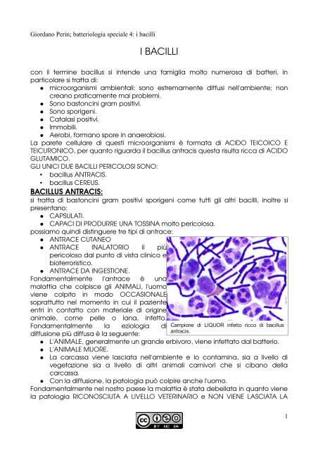 APPUNTI DI MICROBIOLOGIA - Istituto Comprensivo "G. Palatucci"