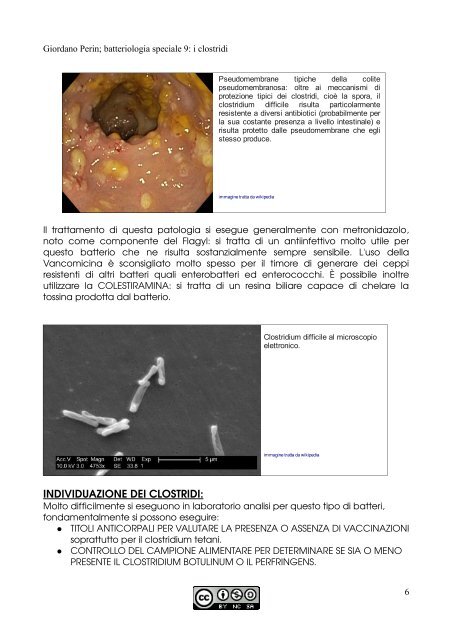 APPUNTI DI MICROBIOLOGIA - Istituto Comprensivo "G. Palatucci"