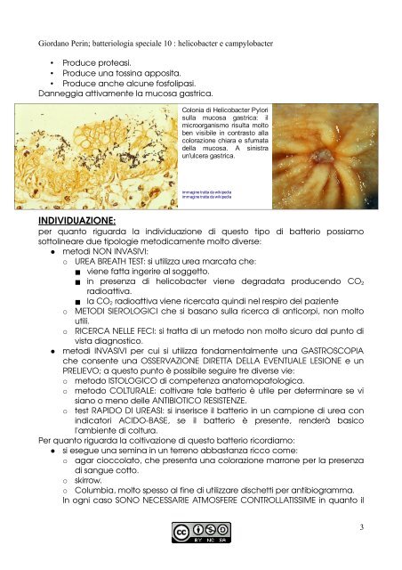 APPUNTI DI MICROBIOLOGIA - Istituto Comprensivo "G. Palatucci"