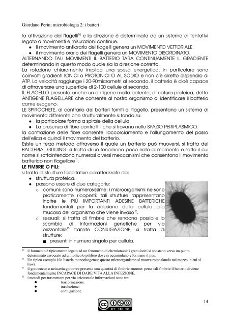 APPUNTI DI MICROBIOLOGIA - Istituto Comprensivo "G. Palatucci"