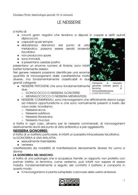 APPUNTI DI MICROBIOLOGIA - Istituto Comprensivo "G. Palatucci"