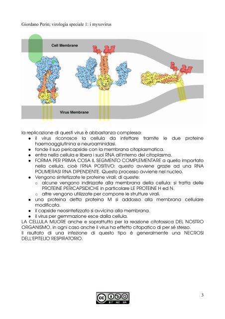 APPUNTI DI MICROBIOLOGIA - Istituto Comprensivo "G. Palatucci"