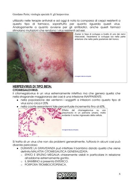 APPUNTI DI MICROBIOLOGIA - Istituto Comprensivo "G. Palatucci"