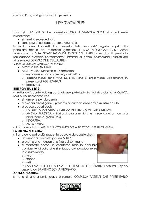 APPUNTI DI MICROBIOLOGIA - Istituto Comprensivo "G. Palatucci"