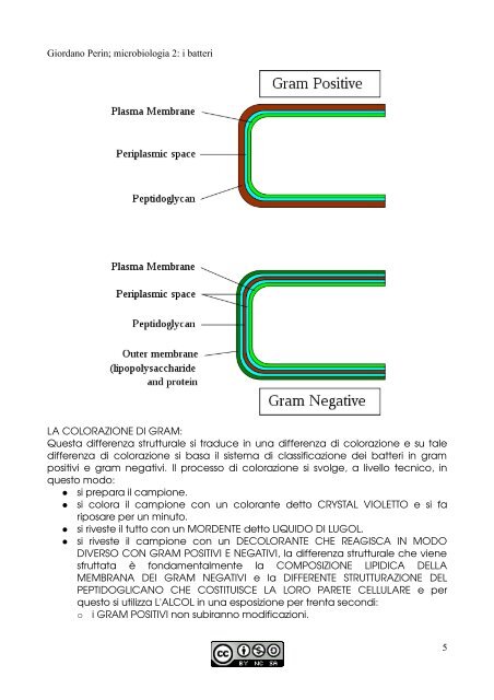 APPUNTI DI MICROBIOLOGIA - Istituto Comprensivo "G. Palatucci"