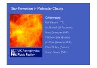 Star Formation in Molecular Clouds