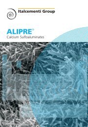 Brochure Alipre - Italcementi Group