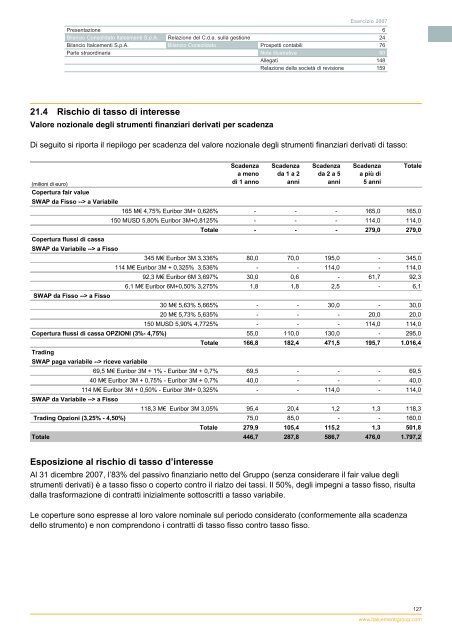 Bilancio 2007 - Italcementi Group