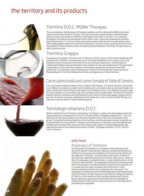 ESECUTIVO STRADE VINO E SAPORI inglese.cdr - Trentino