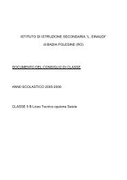 di BADIA POLESINE (RO) DOCUMENTO DEL CONSIGLIO ... - Einaudi