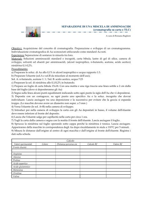 SEPARAZIONE DI UNA MISCELA DI AMMINOACIDI (cromatografia ...