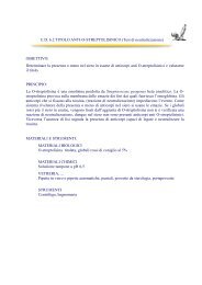 U.D. 6.2 TITOLO ANTI-O-STREPTOLISINICO (Test di ...