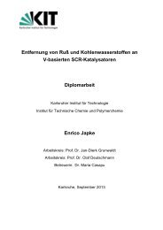 Enrico Japke - Institut für Technische Chemie und Polymerchemie