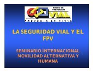 LA SEGURIDAD VIAL Y EL FPV
