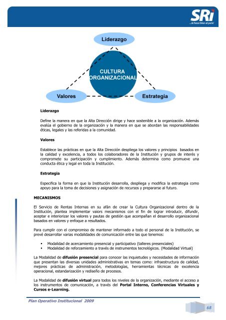 Plan Operativo Institucional 2009