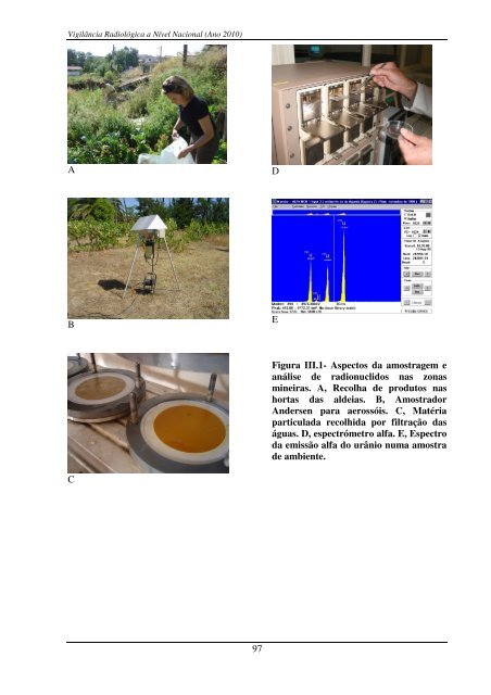 Programas de MonitorizaÃ§Ã£o RadiolÃ³gica Ambiental - Instituto ...
