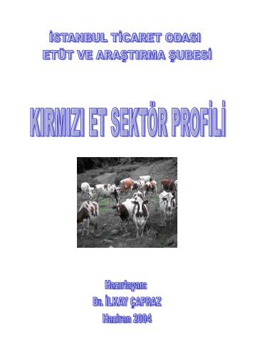 Kırmızı Et Sektör Profili 2004 - ITO