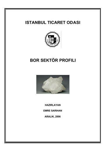 Bor Sektör Profili 2006 - ITO