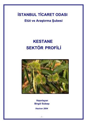 Kestane Sektör Profili 2004 - ITO