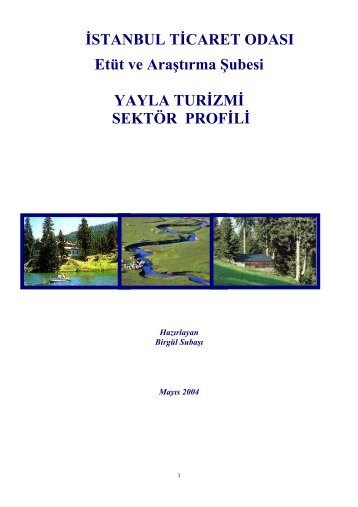 Yayla Turizmi Sektör Profili 2004 - ITO