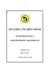 Kahverengi Eşya Sektör Araştırma Raporu 2002 - ITO