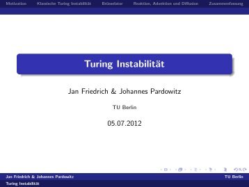 Turing InstabilitÃ¤t - TU Berlin