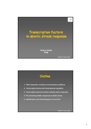 f Transcription factors in abiotic stress response Transcription ... - ITQB