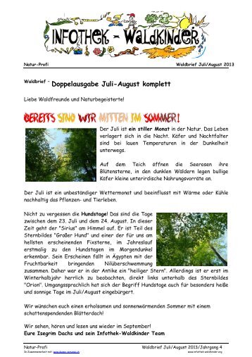 Infothek-Waldkinder - GRATIS Waldbrief Juli-August 2013