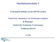 Simulationstechnik V - Institut für Technische Verbrennung