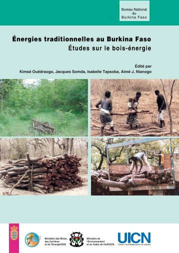 Energies traditionnelles au Burkina Faso - IUCN
