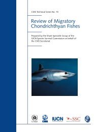 Review of Migratory Chondrichthyan Fishes - Convention on ...