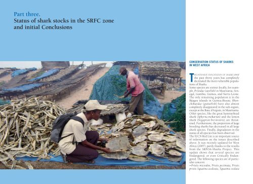 30 Years of shark fishing in west africa - Shark Specialist Group