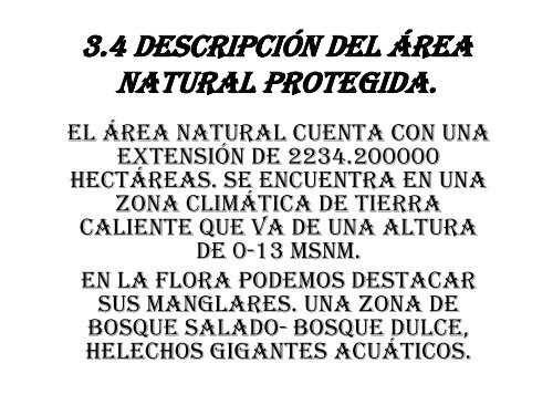 area natural