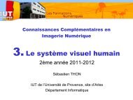 Chapitre 3 - Le systeme visuel humain.pdf - IUT d'Arles