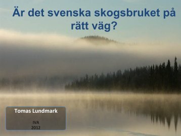 [PDF] Thomas Lundmark - IVA