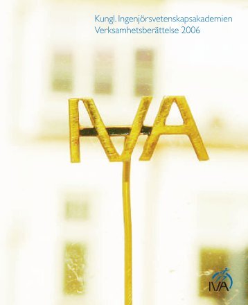 VerksamhetsberÃ¤ttelse 2006 - IVA