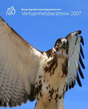 VerksamhetsberÃ¤ttelse 2007 - IVA