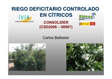 Riego deficitario Controlado en CÃ­tricos - Carlos Ballester - IVIA
