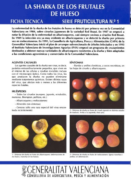 La enfermedad de la sharka de los frutales de hueso se ... - IVIA