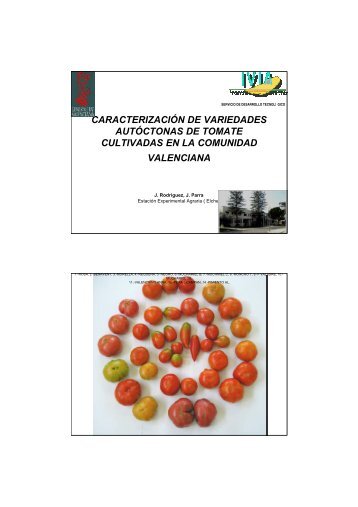 caracterizaciÃ³n de variedades autÃ³ctonas de tomate ... - IVIA