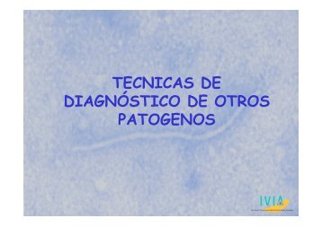 TECNICAS DE DIAGNÃSTICO DE OTROS PATOGENOS - IVIA