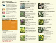R&P weed brochure Page 1 28 apr-11 bpach - IVM Experts