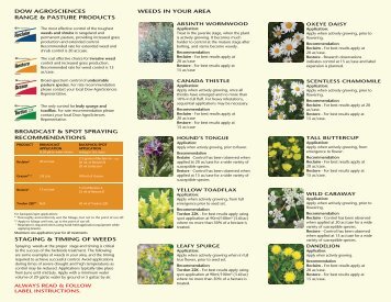 R&P weed brochure Page 1 28 apr-11 bpach - IVM Experts