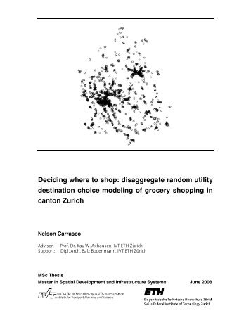 Deciding where to shop: disaggregate random ... - IVT - ETH ZÃ¼rich