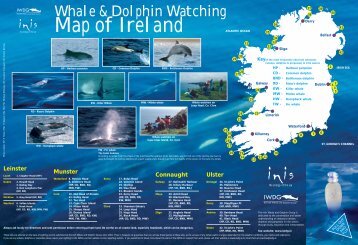 Map of Ireland - Irish Whale and Dolphin Group