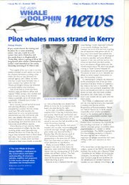 IWDG newsletter - 2002 - Summer - Irish Whale and Dolphin Group