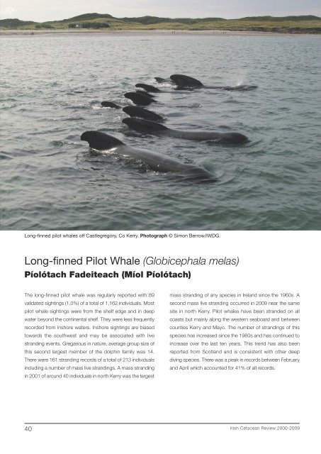 downloaded here - Irish Whale and Dolphin Group